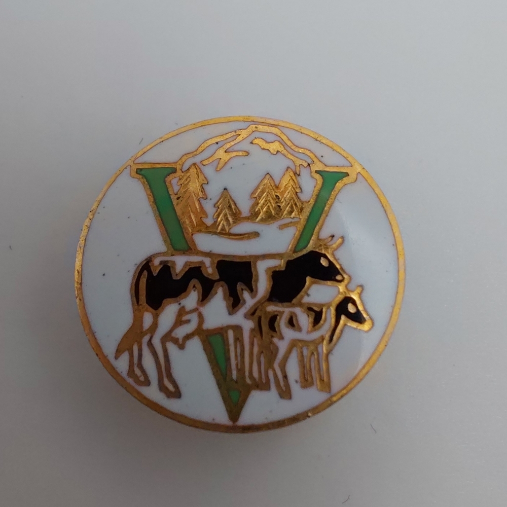 Vermont Vintage Souvenir Screwback Enamel Cow Pin Whitehead & Hoag Co. Unisex